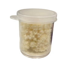 Load image into Gallery viewer, Dried Flowers Mix Set of 4 (FLWS.DD.S)